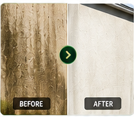 Pressure Washing before and after service